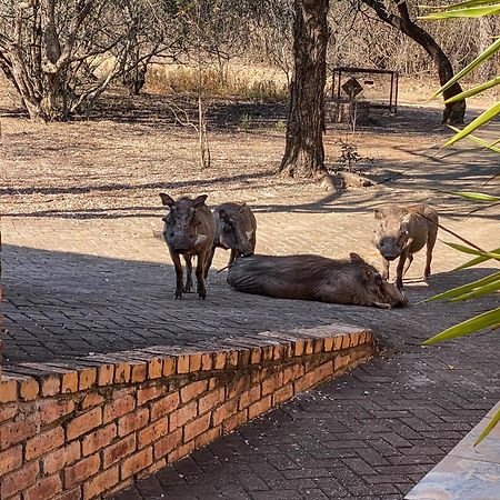 Hakuna Matata Marloth Park Buitenkant foto